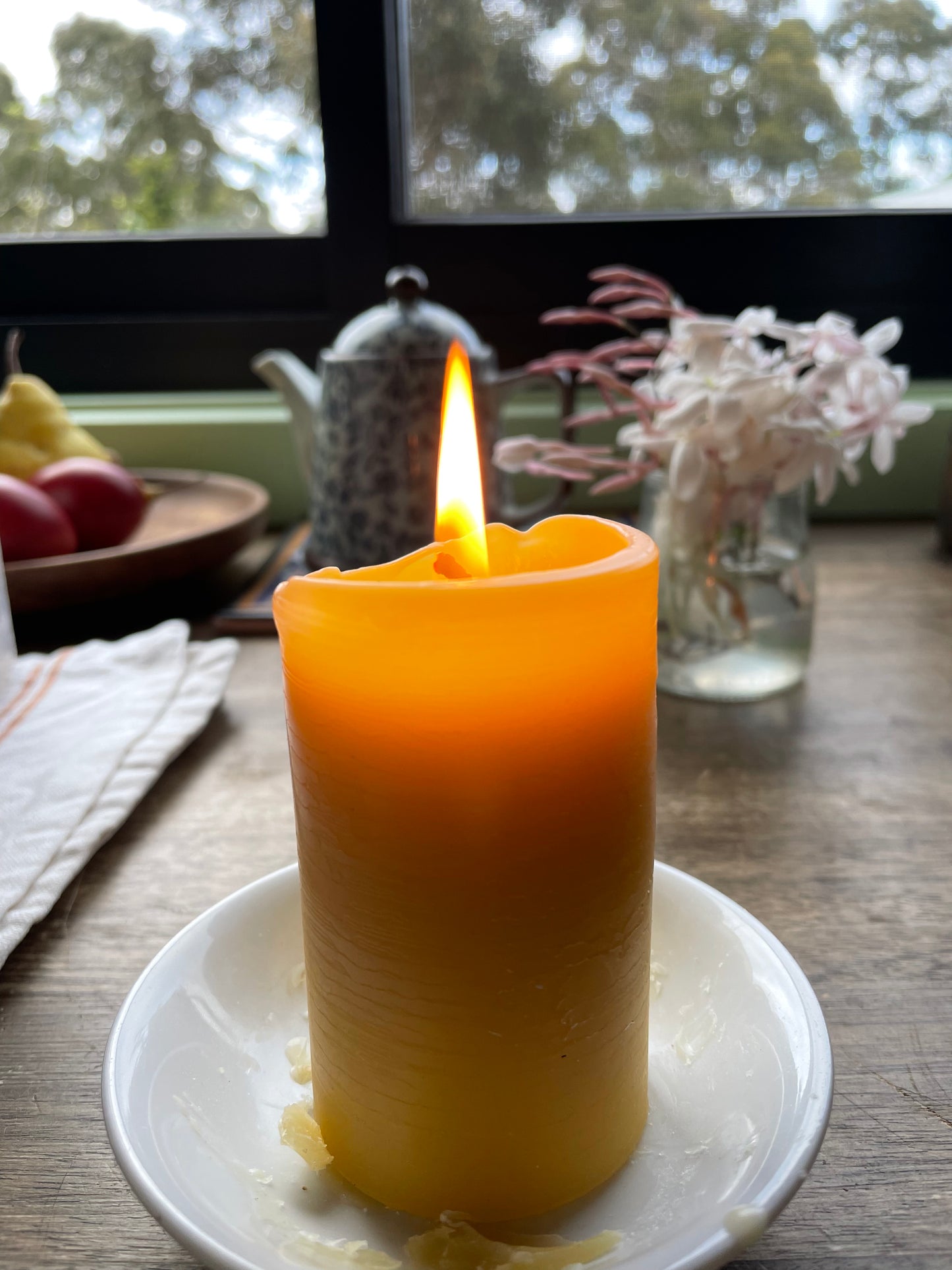 Pair of Wilderness candles (30 hour each)